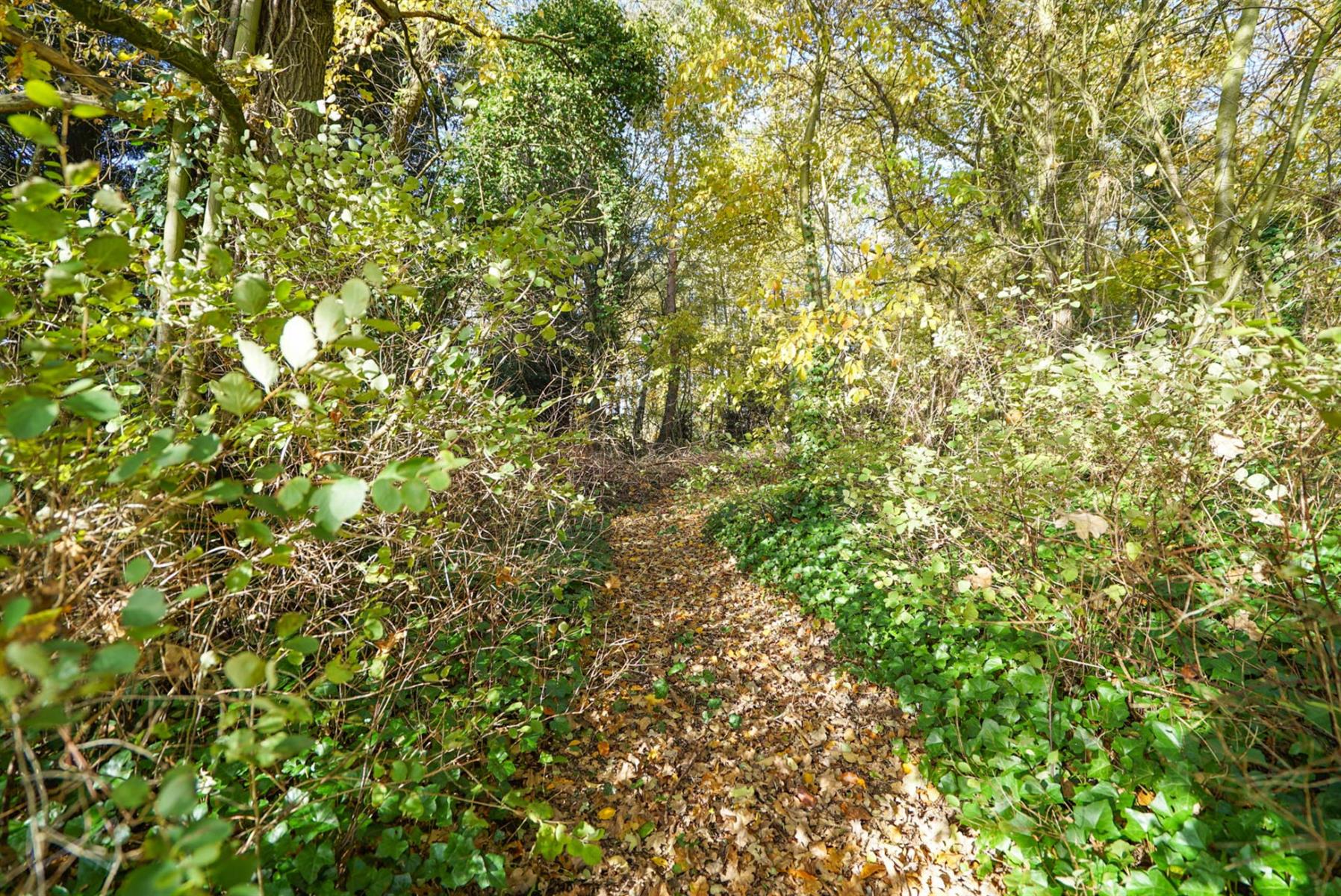 Foto 2 van 3 van Huis met zes slaapkamers in Genappe