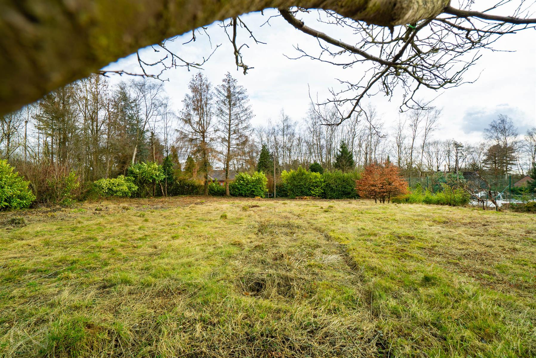 Photo 1 sur 4 pour Terrain à bâtir à Villers-la-Ville